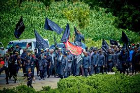 الزوار في نيجيريا يحيون زيارة الأربعين من خلال مسيرة رمزية